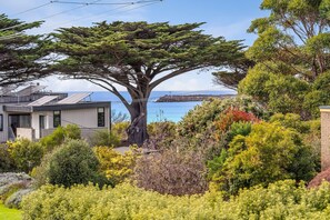 A modern house with a large tree in the front yard, a view of the sea, and a rocky coastline in the background. - The Dunes 1 (Apollo Bay)