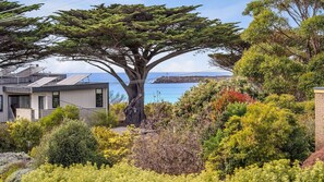 A modern house with a large tree in the front yard, a view of the ocean, and a rocky outcrop in the background. - The Dunes 1 - Peaceful (Apollo Bay)