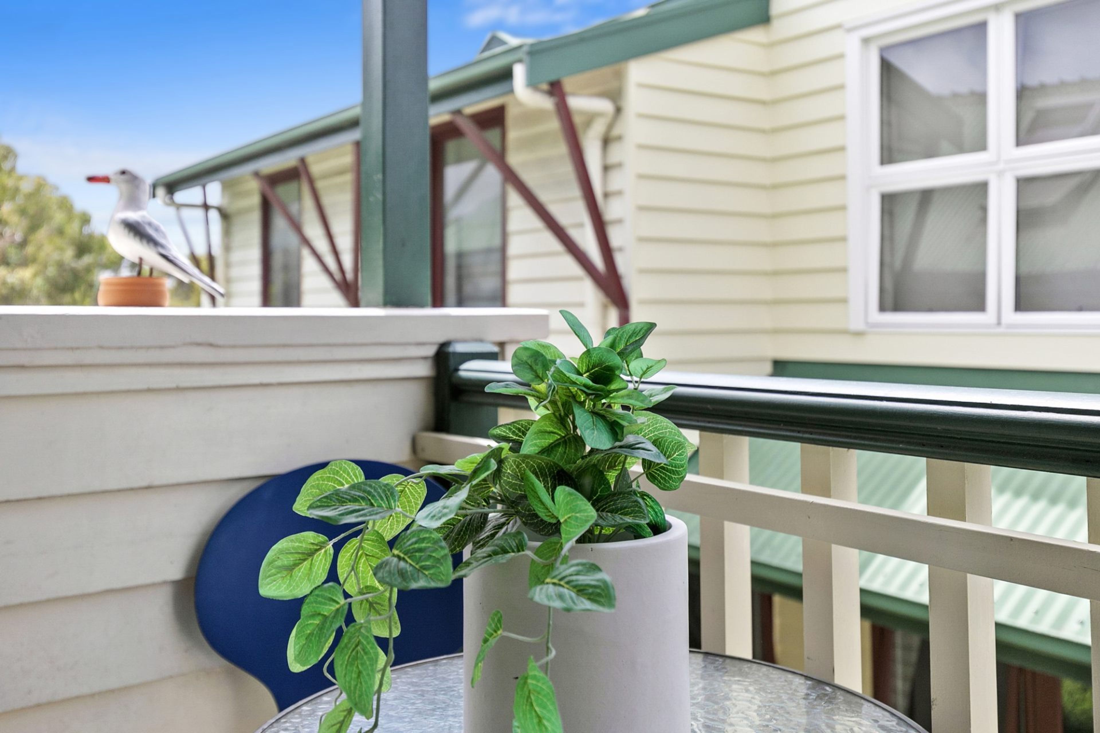 Parvekkeella on ruukussa oleva kasvi, sininen lautanen ja lintujen ruokintalaite.