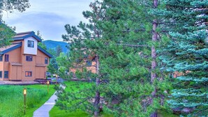 A two-story wooden house with a visible garage and a paved driveway leading to the entrance. - Great Value! Epic Slope Views-Hot Tub+ Steps to Eat/Drink/Shops/Free Bus-W/D in Unit-Gas Fireplace (Steamboat Springs)