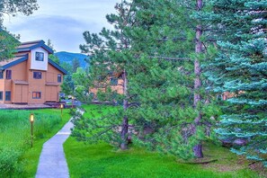 Property grounds - Great Value! Epic Slope Views-Hot Tub+ Steps to Eat/Drink/Shops/Free Bus-W/D in Unit-Gas Fireplace (Steamboat Springs)