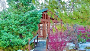A wooden cabin with a staircase leading up to a covered porch, surrounded by dense green foliage and a snow-covered ground. - Great Value! Epic Slope Views-Hot Tub+ Steps to Eat/Drink/Shops/Free Bus-W/D in Unit-Gas Fireplace (Steamboat Springs)
