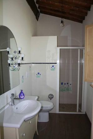 Shower, hair dryer, bidet, towels - Apartment "Belvedere" - Farmhouse "Agriturismo Il Caggio di Sotto" (Colle di Val d'Elsa)