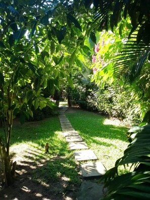 Property grounds - Chalet of the Fountain. A haven of peace and quiet in contact with nature. (Trancoso)