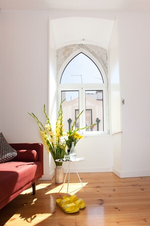 Televisión y libros