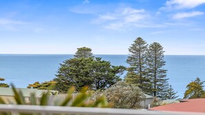 View from property - Lorne Chalet Apartment 36 (Lorne)