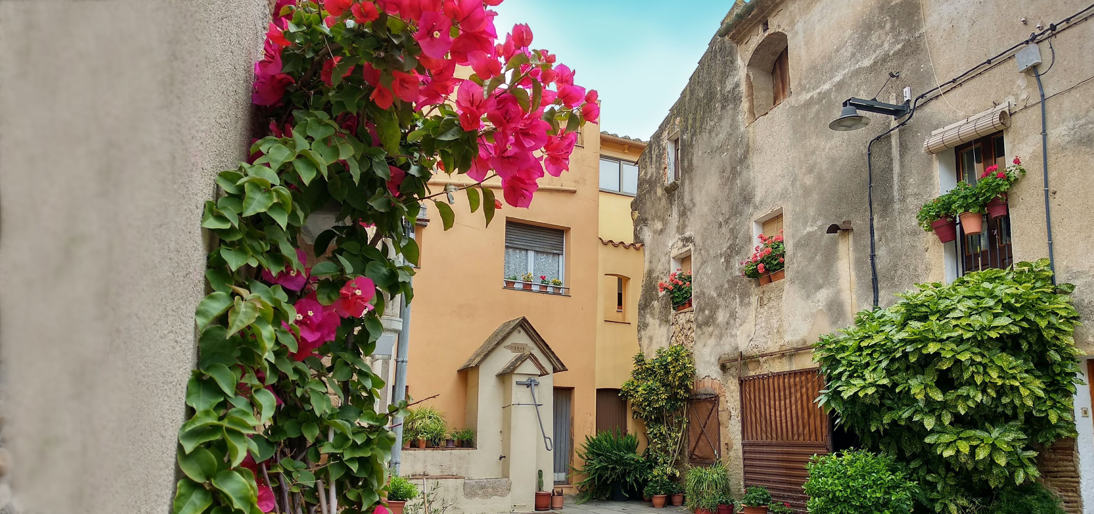A narrow alley with buildings on either side, featuring balconies with potted plants and a small door in the center.