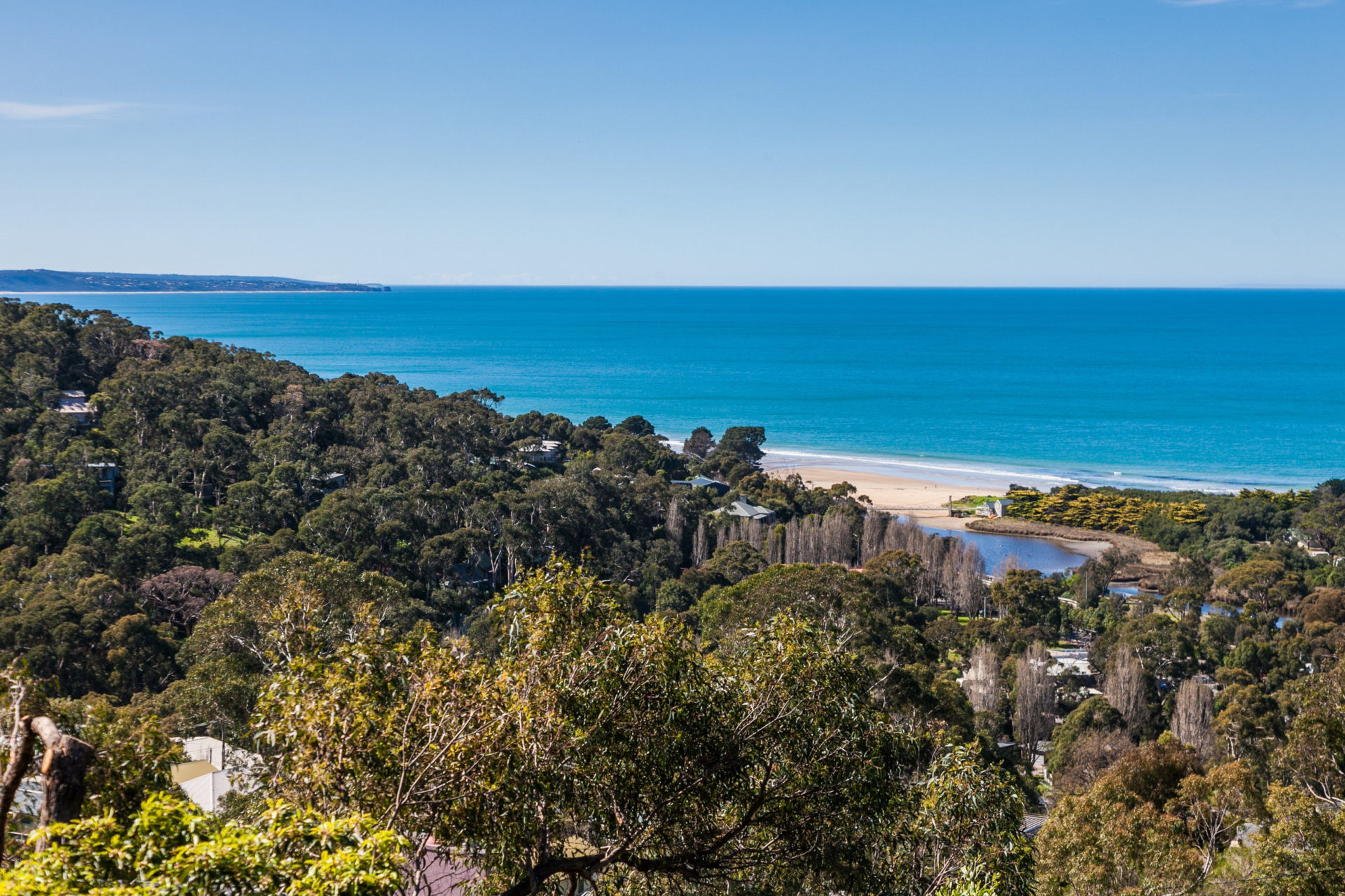 A coastal landscape with dense forest, a beach, and a clear view of the ocean.