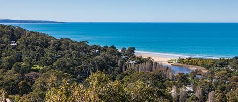 A coastal landscape with dense forest, a beach, and a clear view of the ocean.