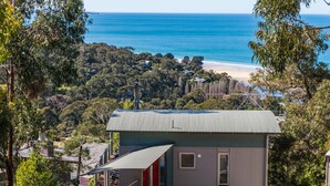 A small, modern house with a metal roof, surrounded by lush greenery and overlooking a beach. - Seamist - Elevated With Amazing Outlook (Lorne)
