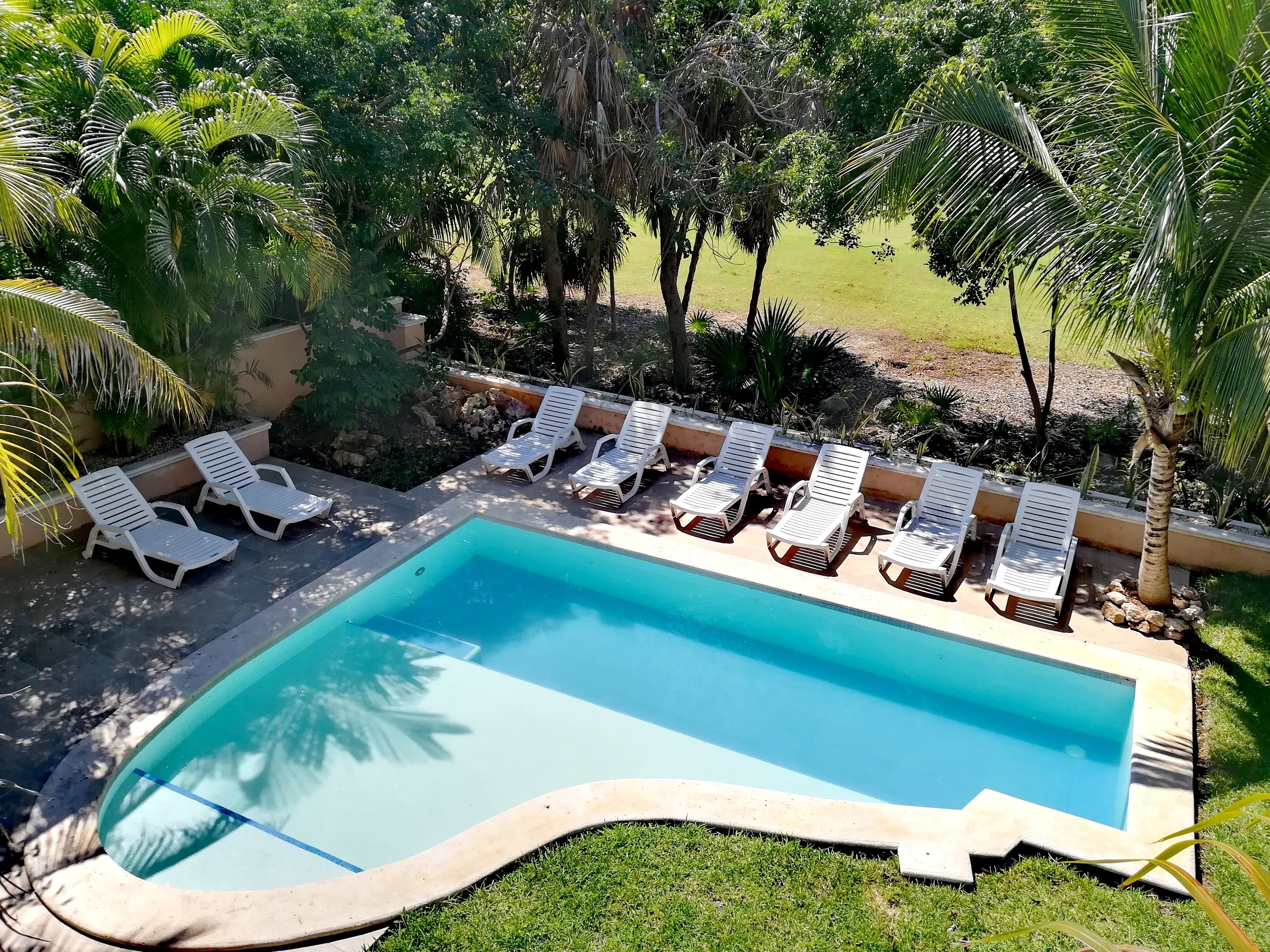 Piscina com cadeiras de descanso brancas dispostas ao redor, cercada por vegetação exuberante e palmeiras.