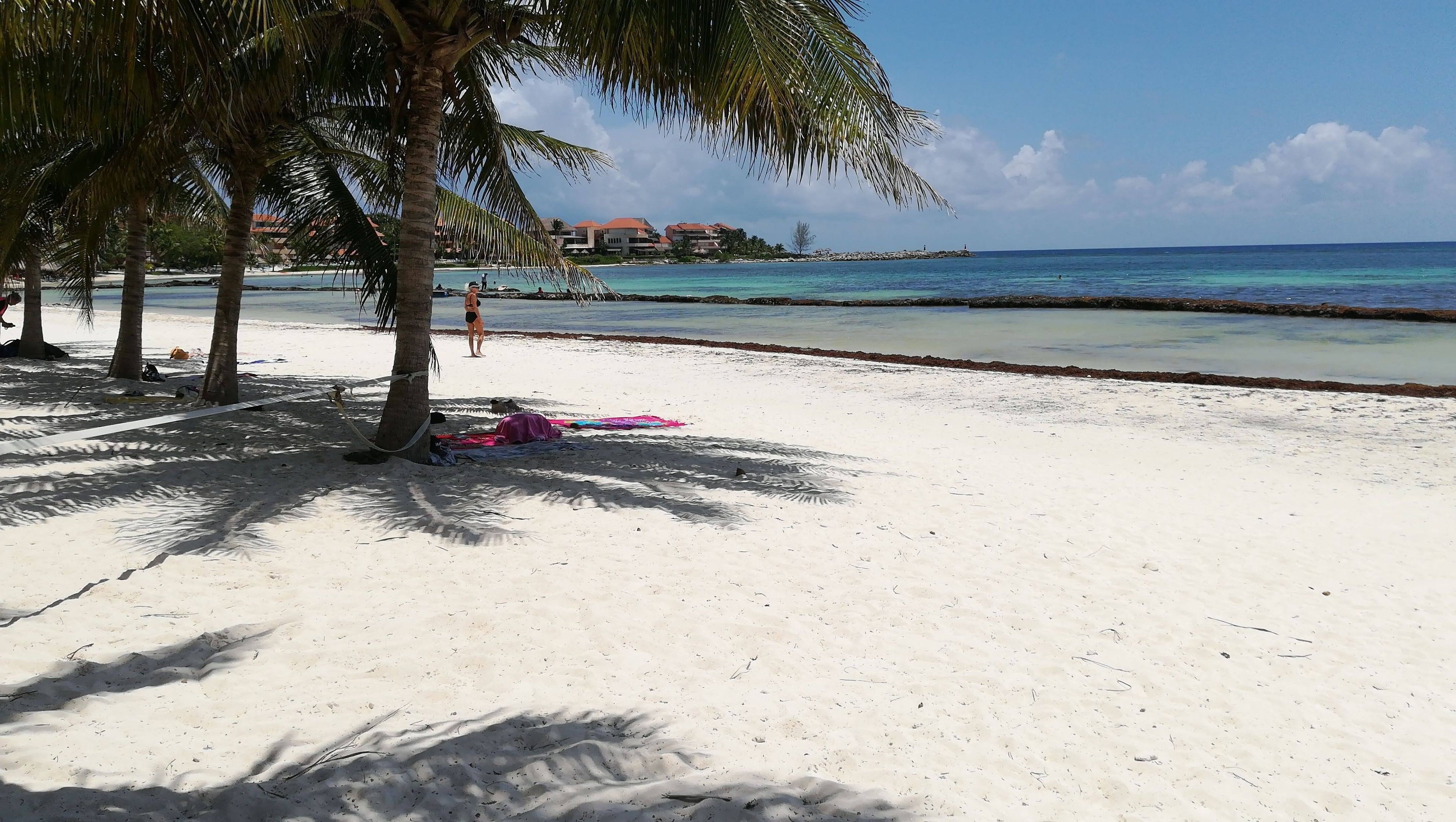 A beach with white sand, palm trees, and a clear blue sea.