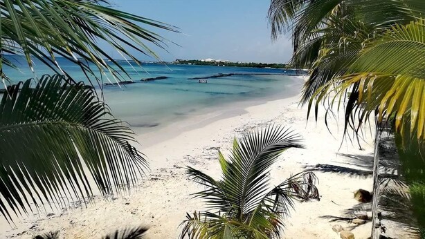 Een strand met helder turquoise water, wit zand en palmbomen.