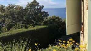 Blick auf einen angelegten Garten mit gelben Blüten, einer Hecke und einem strahlend blauen Himmel.