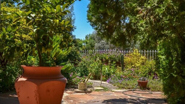 A garden with a large terracotta pot, a stone pathway, and various plants and flowers.