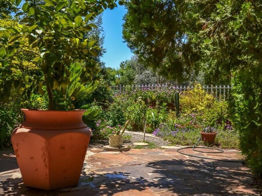 Terrein van de accommodatie