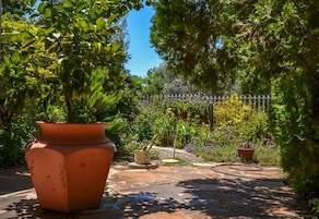 Um jardim com um vaso de terracota grande, um caminho de pedra e diversas plantas e flores.
