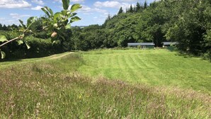 A grassy field with a building in the background.