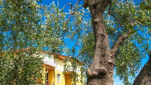 A yellow building with a gravel driveway, surrounded by trees. - ViP Panorama, in villa with heated pool (Diano Marina)