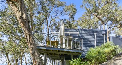 Bluegums at Lorne