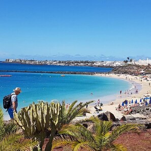 Paesaggio costiero con una spiaggia, un cactus in primo piano, un cielo azzurro limpido e una città in lontananza.