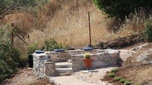 A stone staircase leading to a garden area with a cactus in a pot, surrounded by dry grass and a fence.