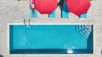 Outdoor pool, sun loungers