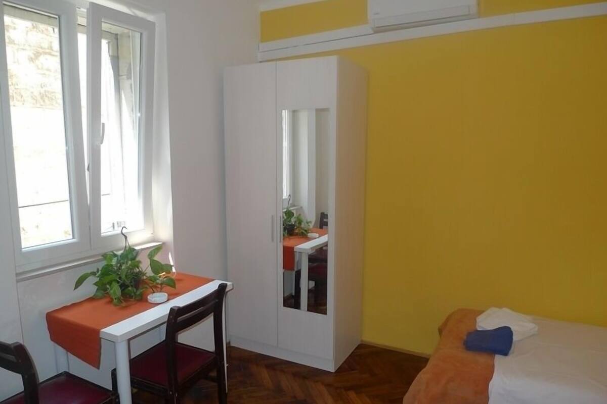 Una habitación pequeña con cama, una mesita de noche con planta, una silla y un armario.