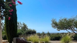 Eine Terrasse mit Sitzgelegenheiten, ein hoher Baum mit rosa Blüten und Blick aufs Meer.