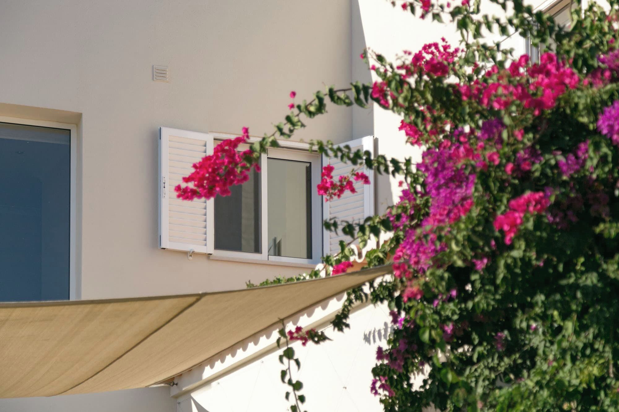 A building with a window and a door, surrounded by greenery and pink flowers.