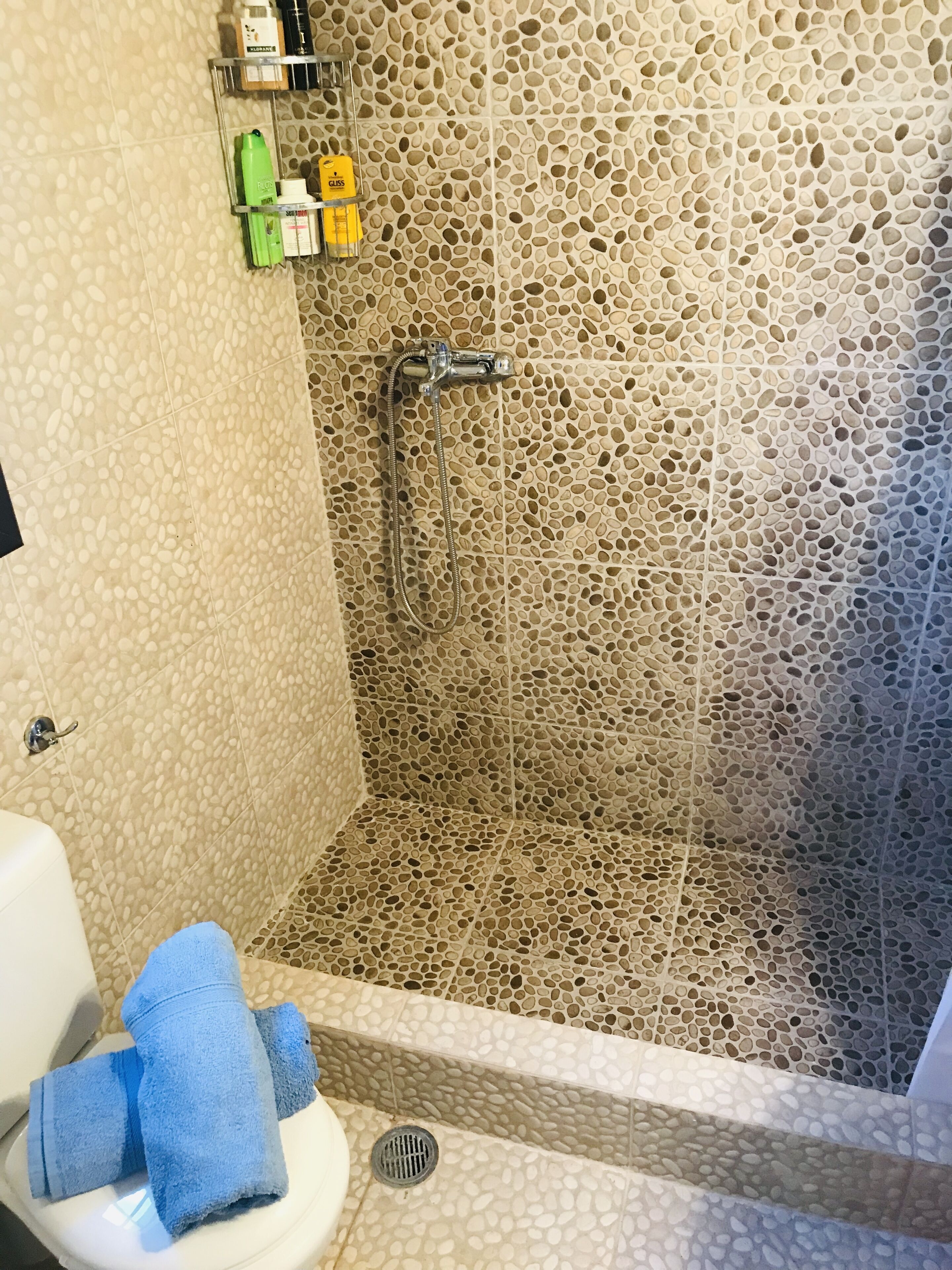 A bathroom with a shower, toilet, and a shelf with toiletries.