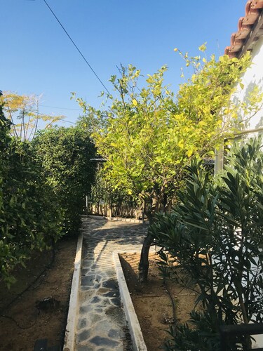 Villa Mare Loutraki,quiet Villa in Nature, two steps to the beach&private garden