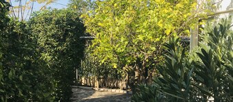 Villa Mare Loutraki,quiet Villa in Nature, two steps to the beach&private garden