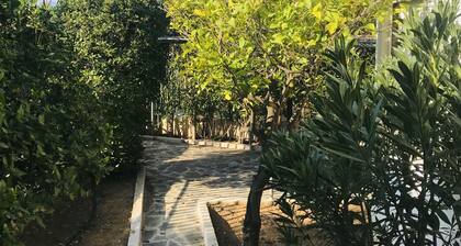 Villa Mare Loutraki,quiet Villa in Nature, two steps to the beach&private garden