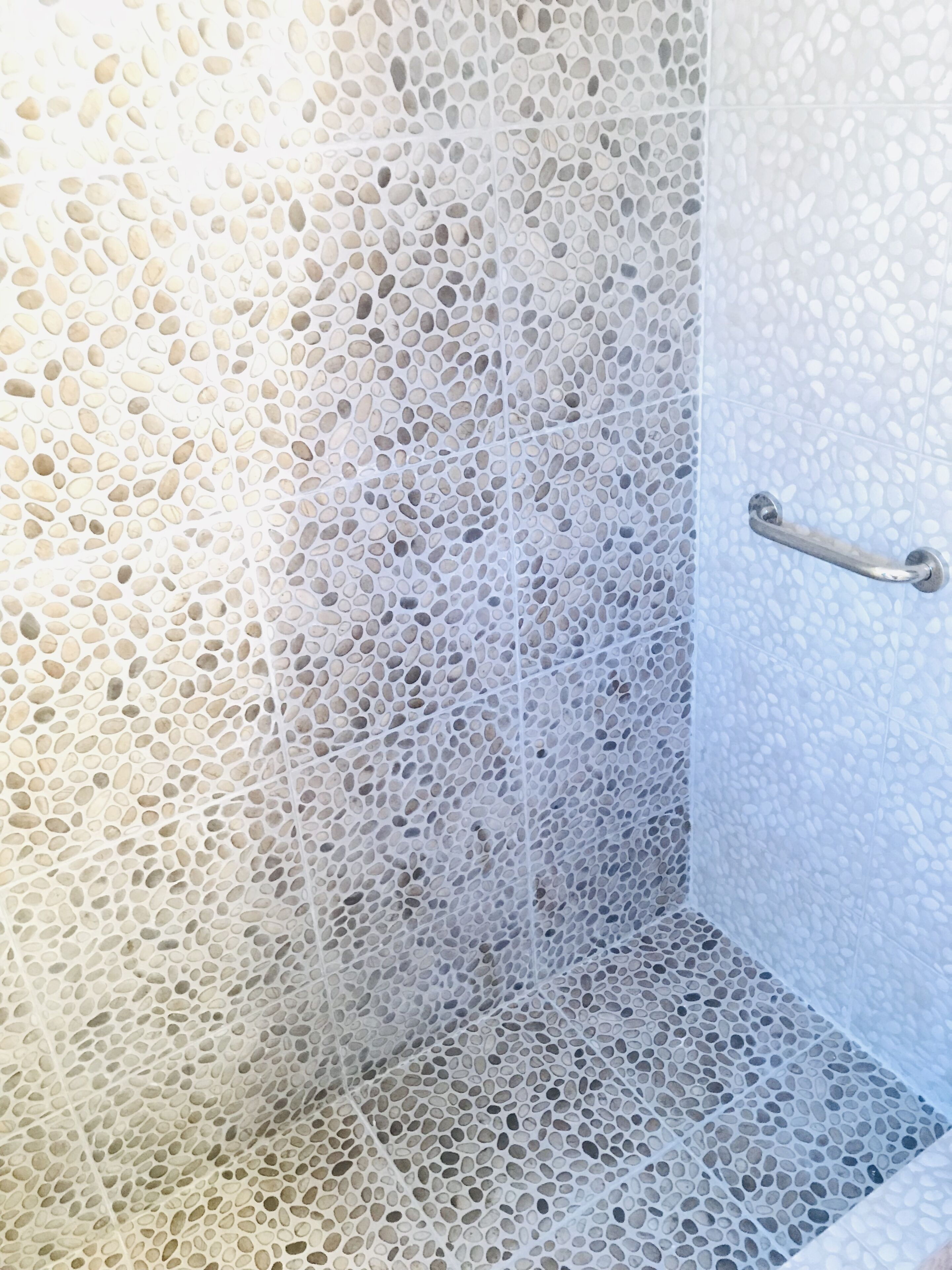 Hair dryer, towels, shampoo