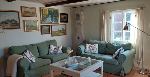 TV, fireplace, books, stereo