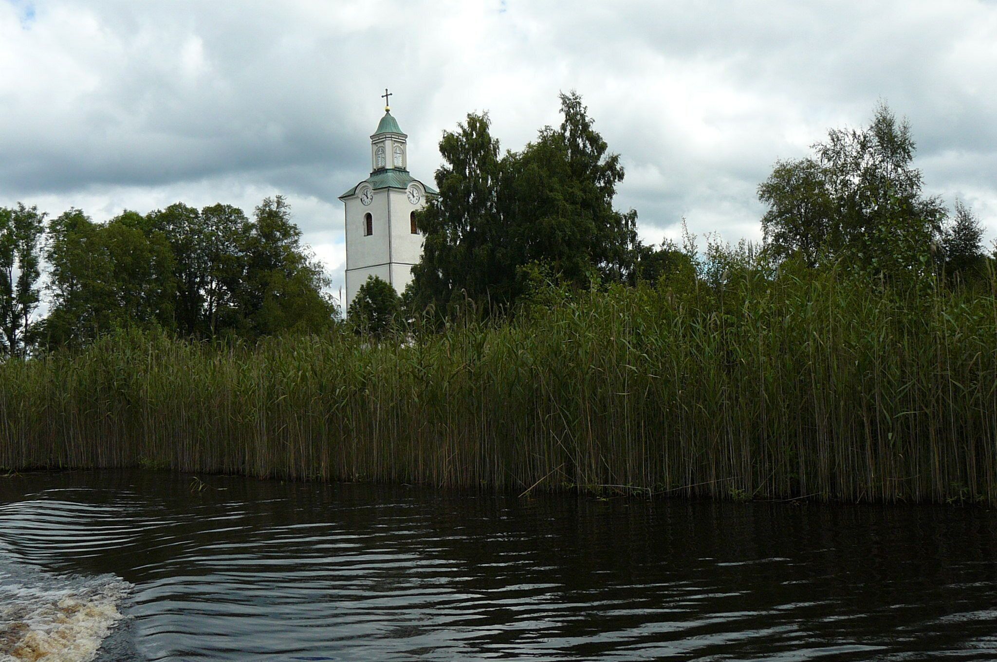 A white church with a clock tower, surrounded by dense reeds and trees.
