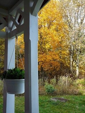 Àrea exterior de l'allotjament