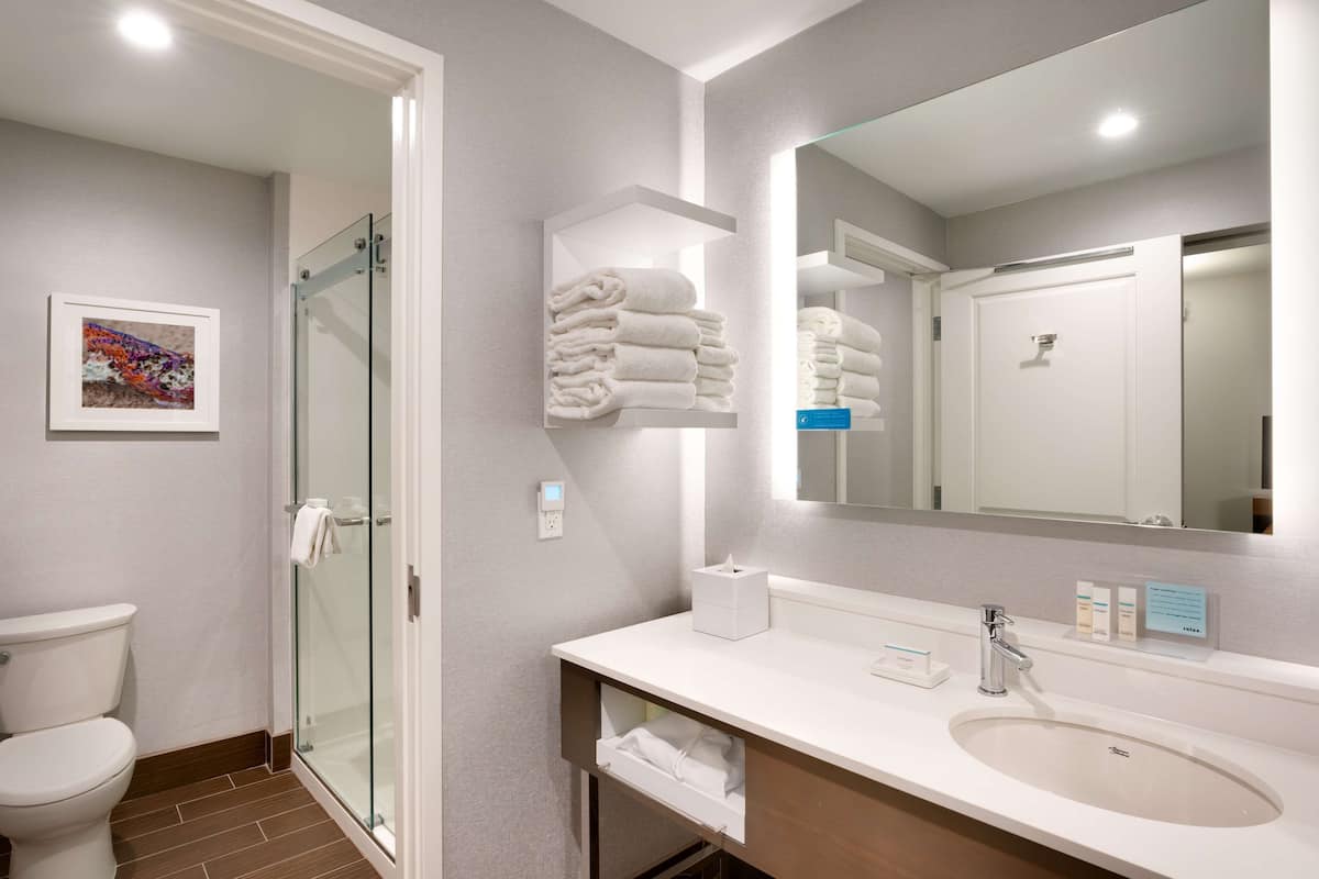 Une salle de bain moderne avec une douche à parois de verre, un lavabo blanc et un miroir au-dessus.
