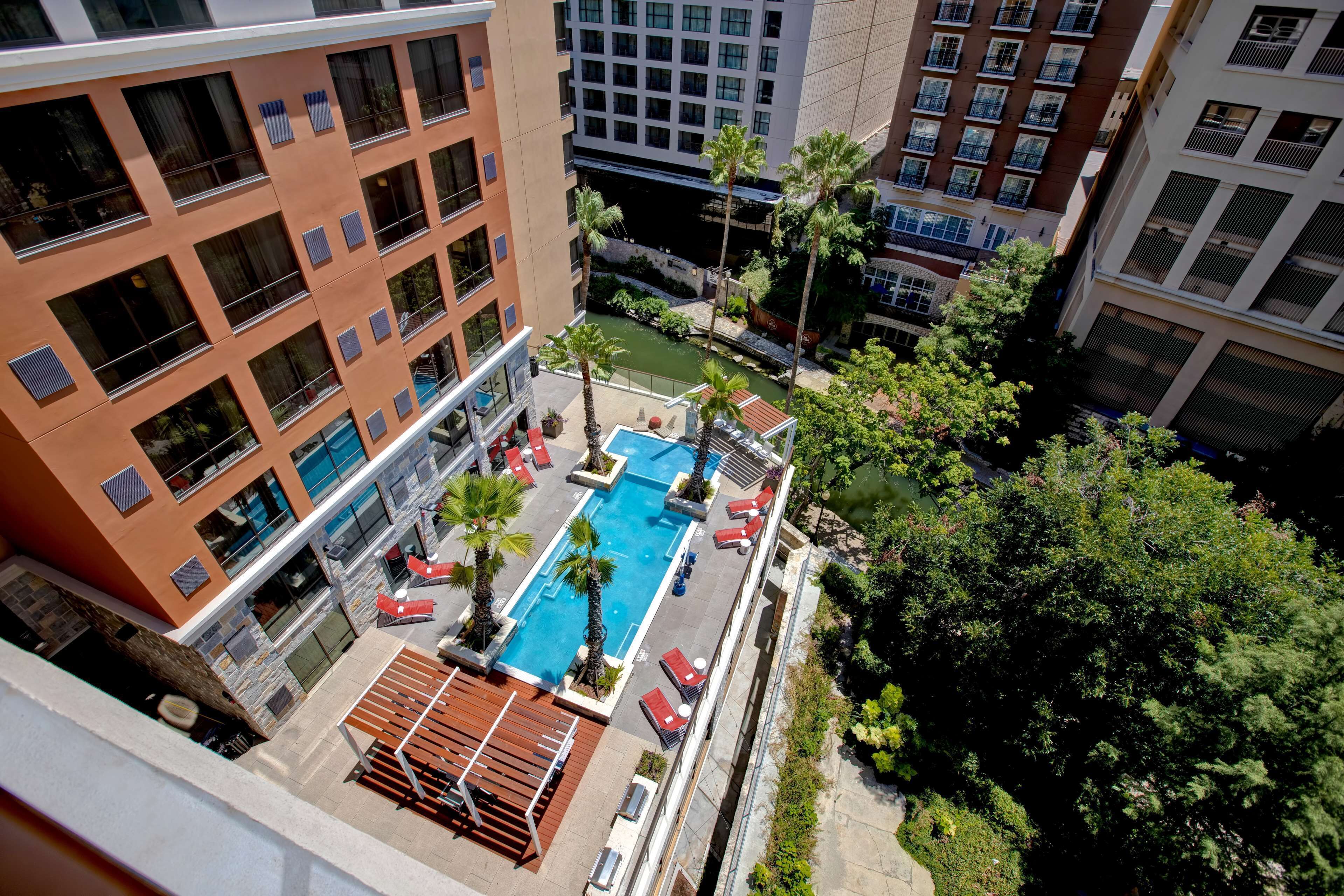 A rooftop pool with lounge chairs, surrounded by palm trees and a view of adjacent buildings.