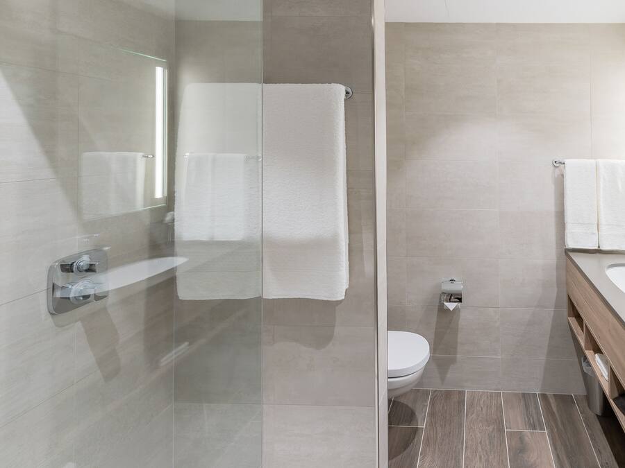 A modern bathroom with a glass shower enclosure, a toilet, and a vanity with a mirror.