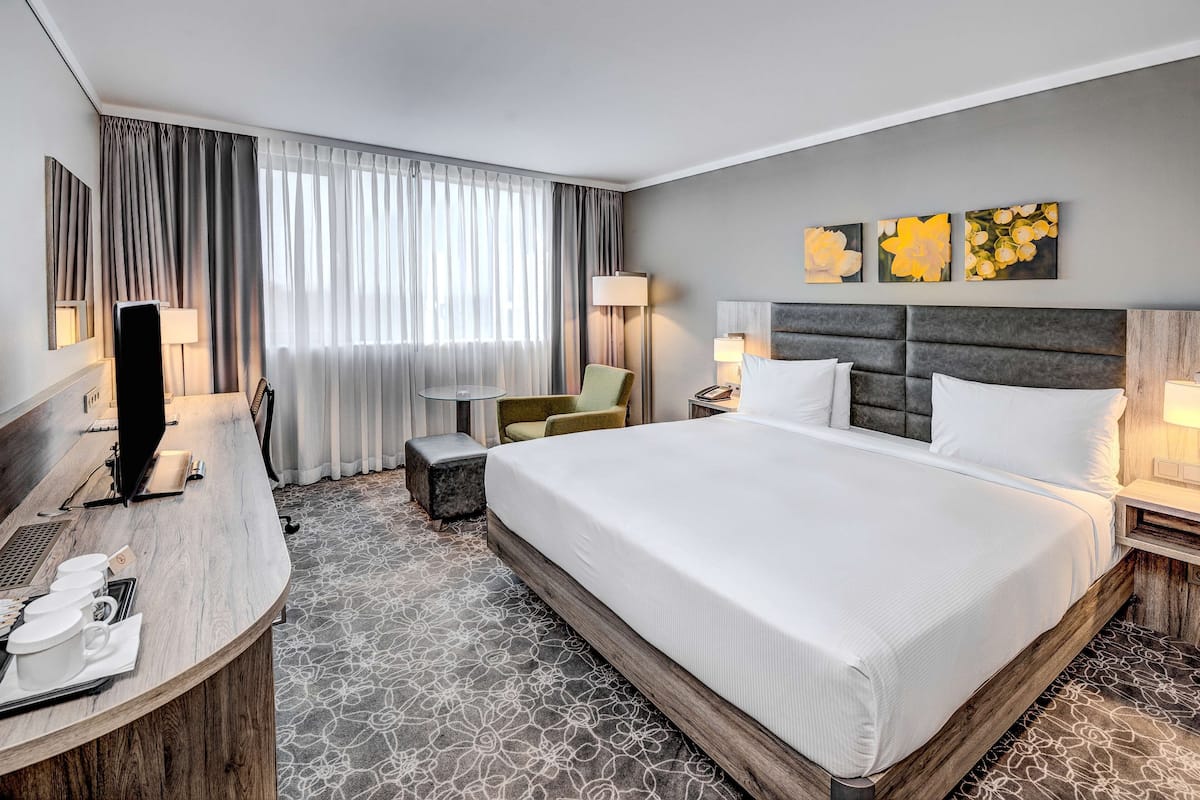 Room, 1 King Bed