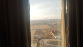 A view through a window with curtains, featuring a distant landscape with buildings and open fields.