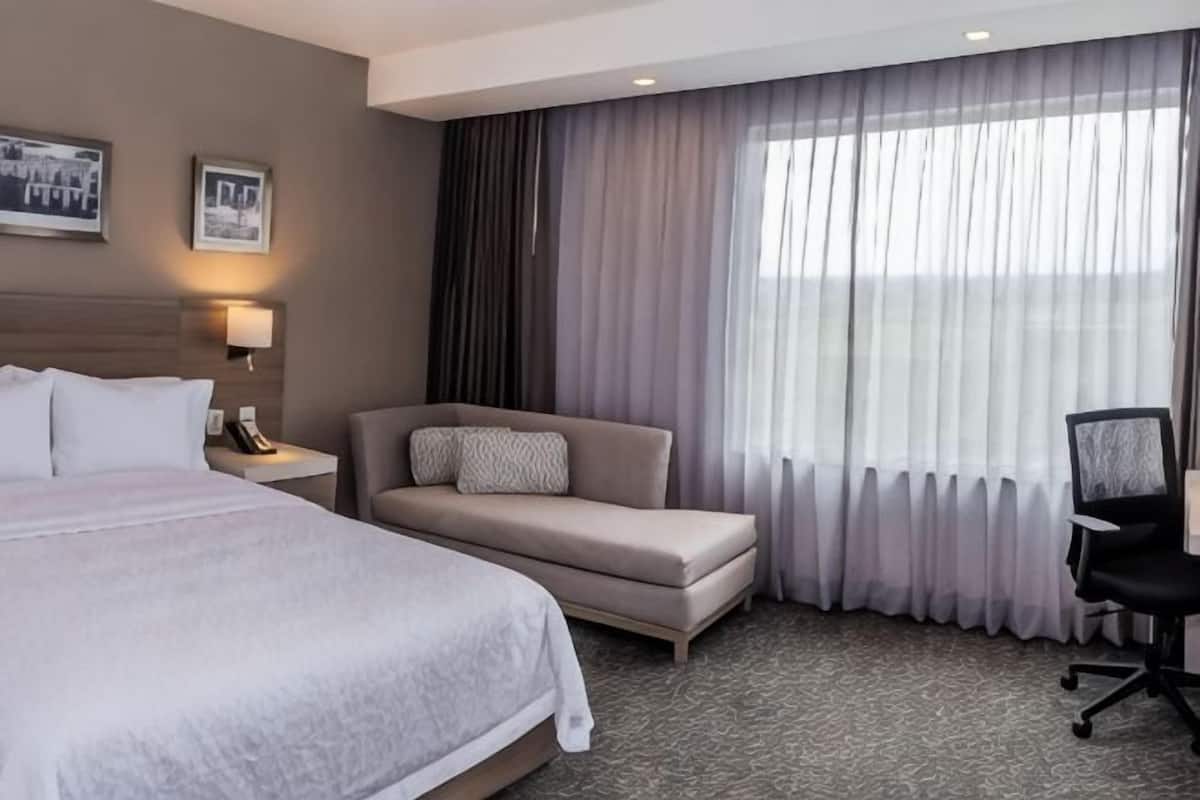 Premium bedding, minibar, in-room safe, individually decorated