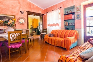 Smart TV, chimenea, reproductor de DVD y libros 