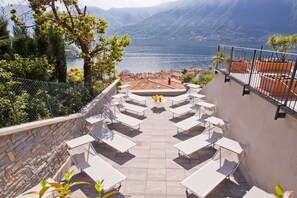 Terras