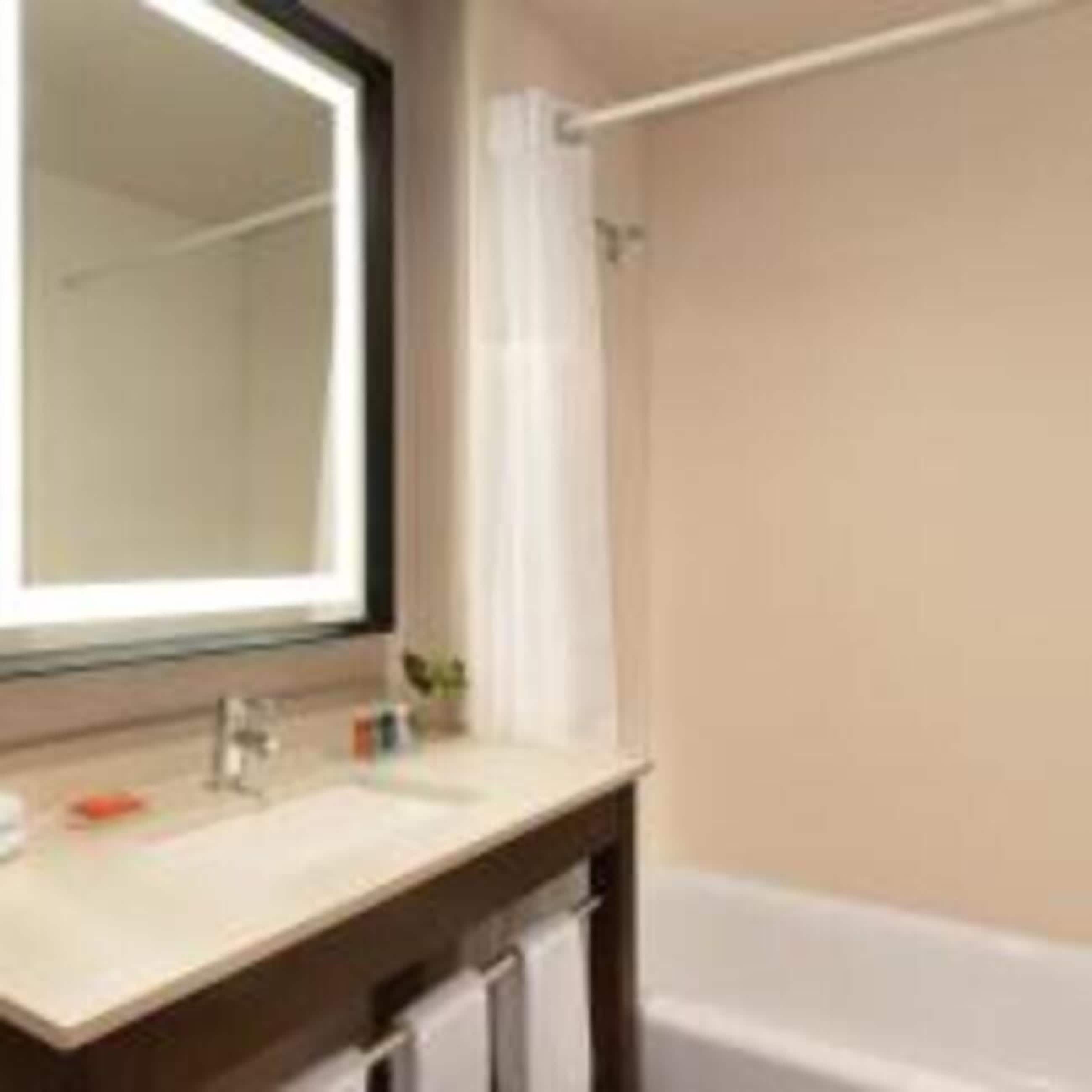 Un baño con un espejo grande, un lavabo, un perchero para toallas y una bañera.