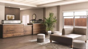Un área de recepción moderna con un mostrador de madera, un reloj y una planta grande en maceta. Hay un sofá y un reposapiés en la zona de estar.