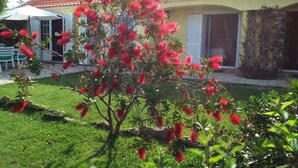 A house with a red-tiled roof, a well-maintained lawn, and a flowering tree in the foreground. - Atlantic view house/front of the sea, private pool, Azenhas do Mar beach by walk (Colares)