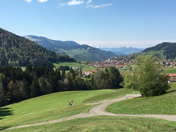 A rural landscape with a small town nestled in the valley, surrounded by mountains and greenery. - 4 **** apartment EdelWeiß, 3 rooms, underground parking, elevator, WiFi, Oberstaufen Plus (Oberstaufen)